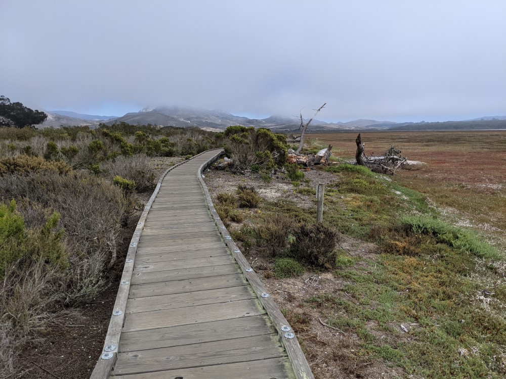A boardwalk, with low bushes on one side and flat empty marshland on the other, and mountains in the distance shrouded in fog.