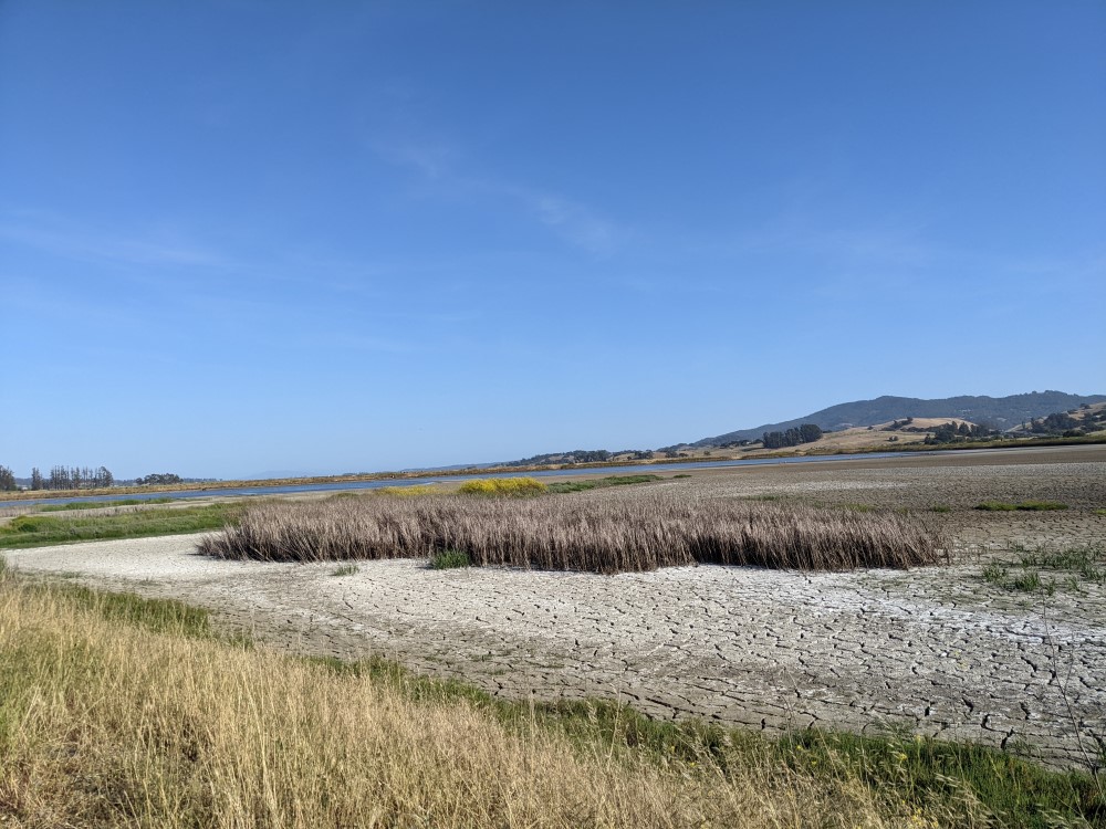 A mostly dry marsh with cracked mud, reeds growing in it, patches of greenery, then water beyond, and beyond that a mountain and the blue sky.