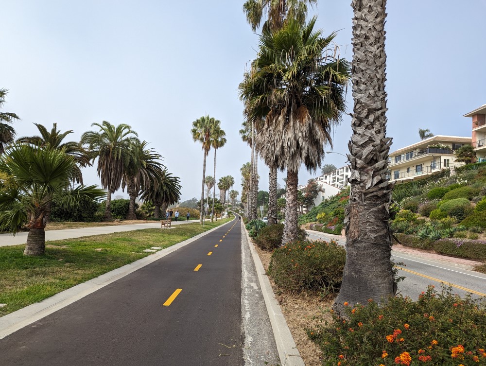 A bike path lined with palm trees, and a pedestrian path beside it. A totally separated road is on the other side, with large houses on a hill overlooking it.