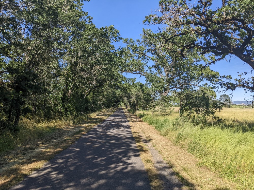 A tree lined bike path